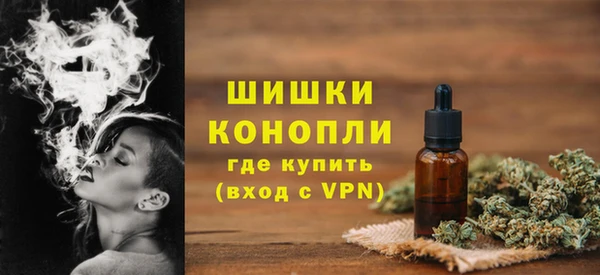 гашик Новодвинск