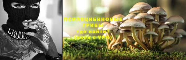 амф Нязепетровск