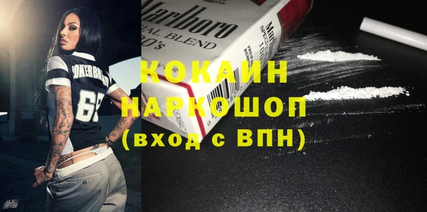 гашик Новодвинск