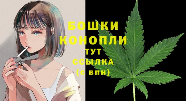 спиды Новокубанск