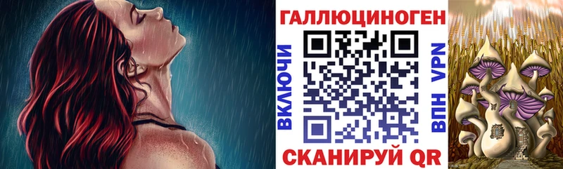 Купить где  Хасавюрт  Галлюциногенные грибы Magic Shrooms 